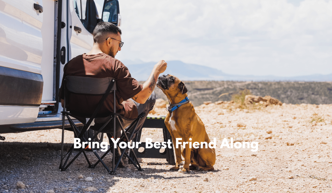 Bring Your Best Friend Along: Pet-Friendly RV and Camper Rentals in Orlando From Escape RV Rental