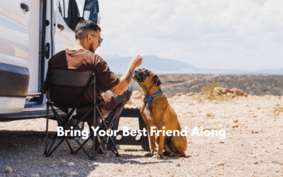 Bring Your Best Friend Along: Pet-Friendly RV and Camper Rentals in Orlando From Escape RV Rental